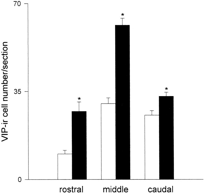 Fig. 12.