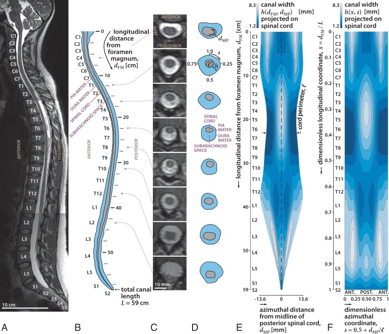 Fig 1.