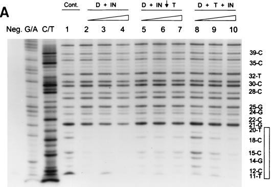 FIG. 8