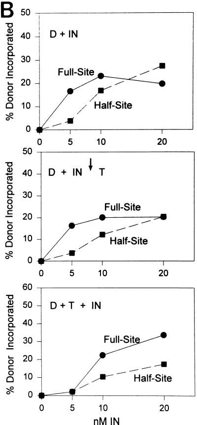 FIG. 8