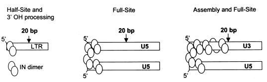 FIG. 10