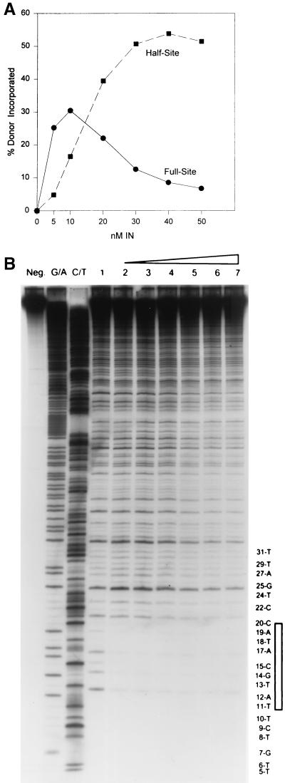 FIG. 5