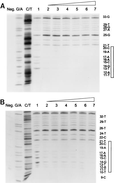 FIG. 6