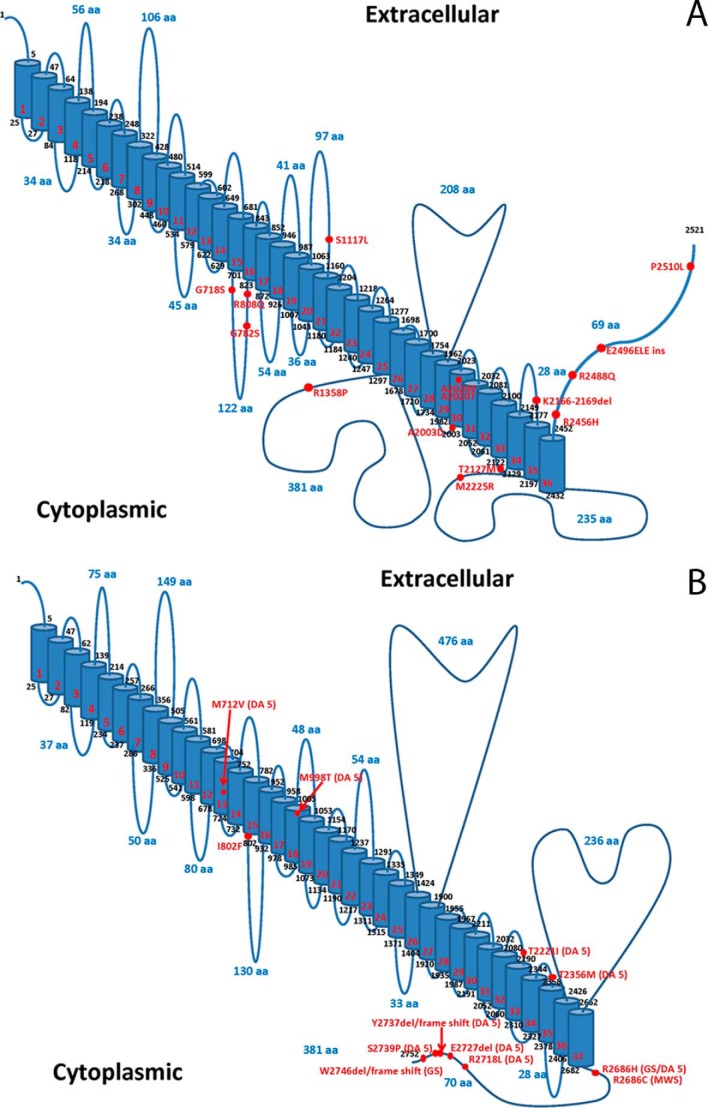 FIGURE 1.