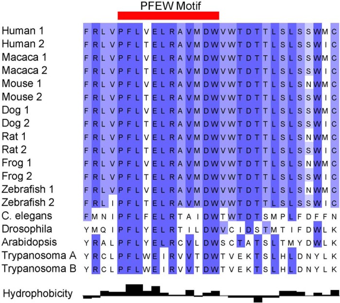 FIGURE 3.