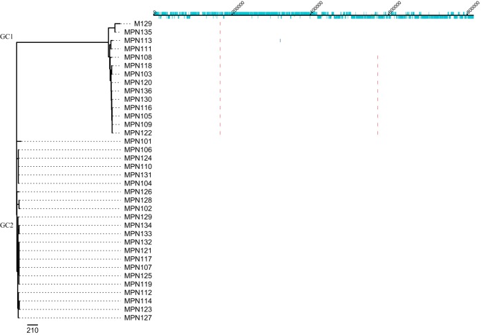 FIG 3