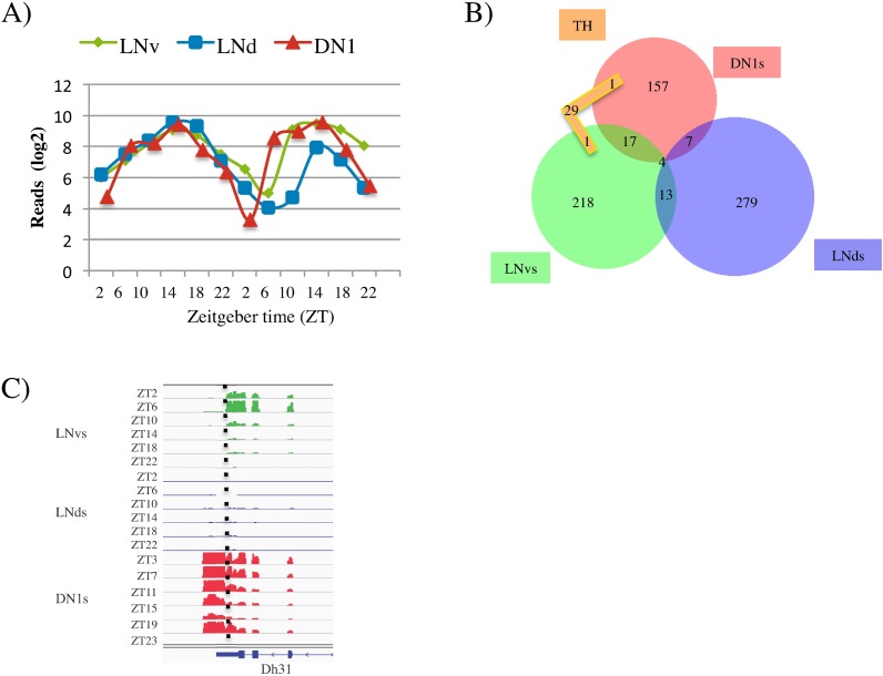 Fig 4