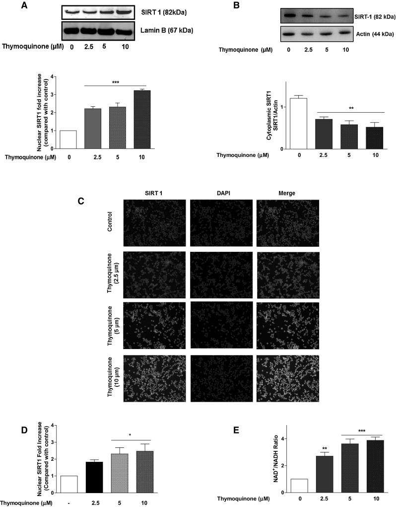 Fig. 6