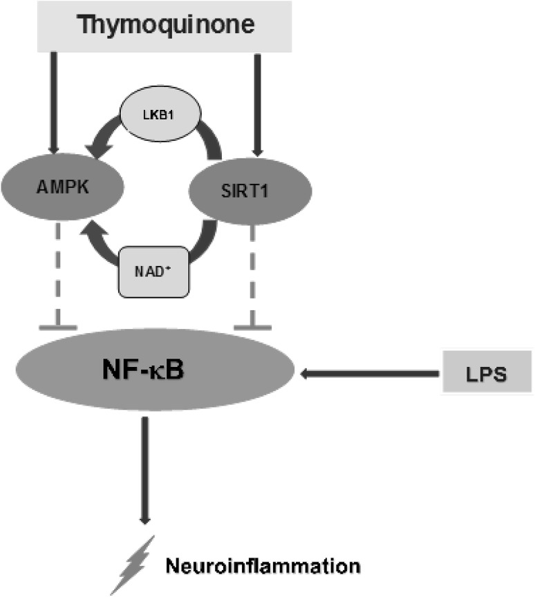 Fig. 10