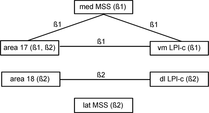 Figure 11.