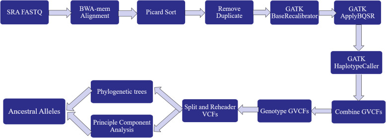 Fig. 9