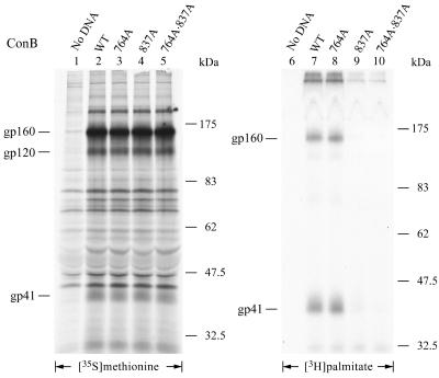 FIG. 10.