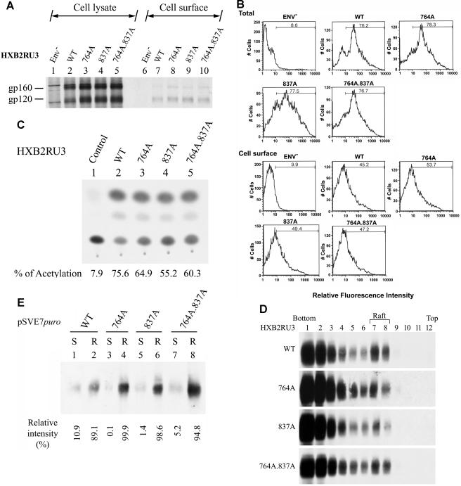 FIG. 6.