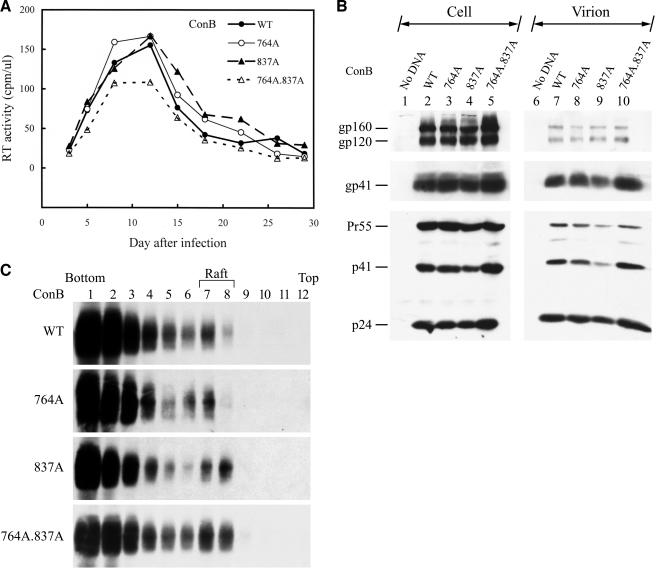 FIG. 7.