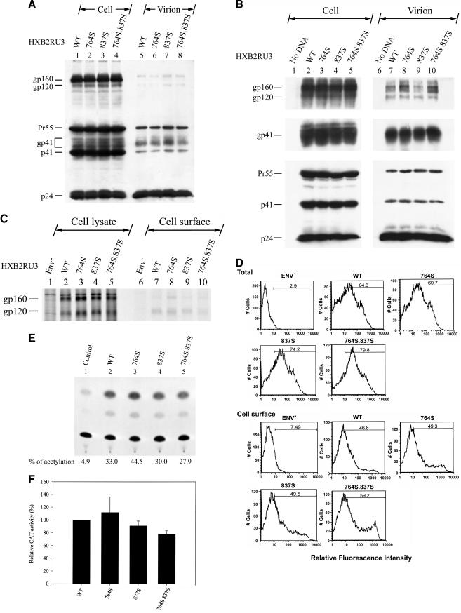 FIG. 3.