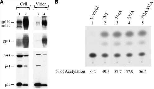 FIG. 9.