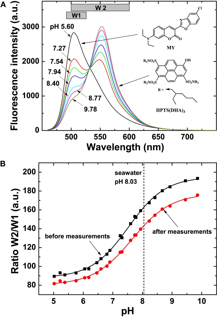 Figure 9