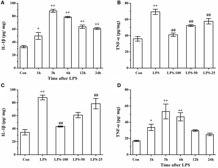 Figure 13