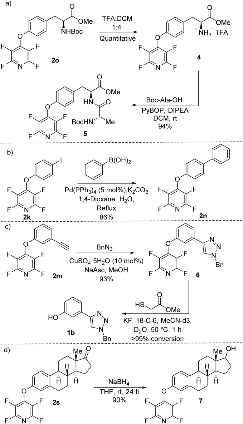 Scheme 5