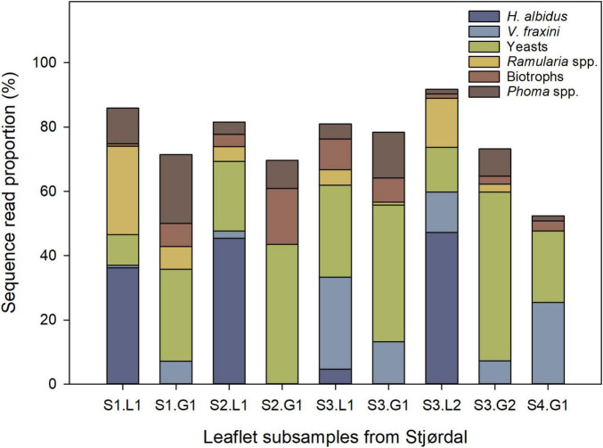 FIGURE 3