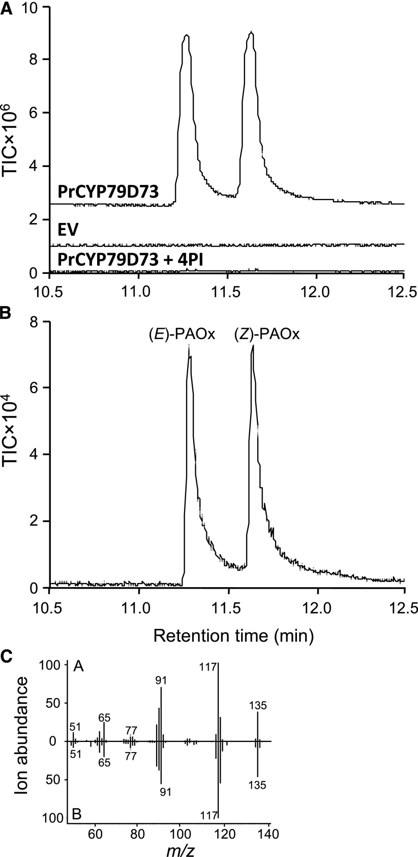 Figure 6.