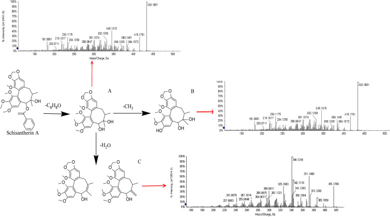 Fig. 4