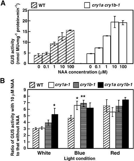 Figure 7.