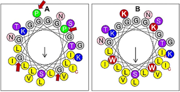 Fig 2