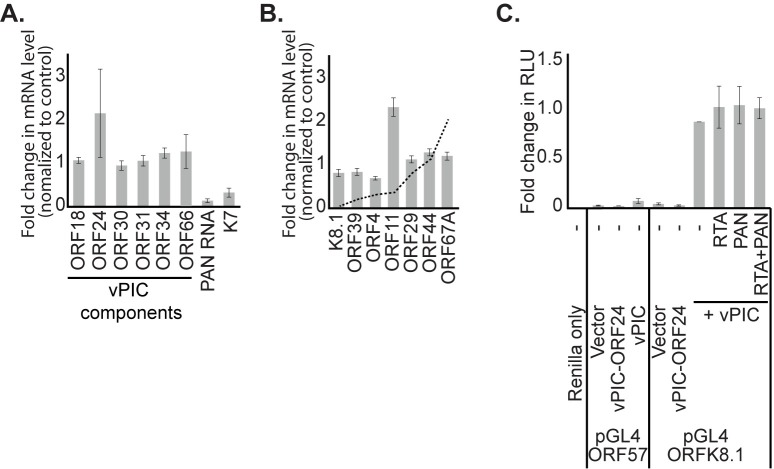 Fig 5