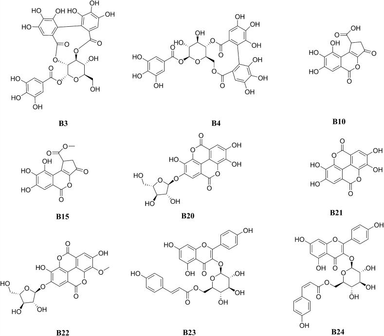 Figure 4