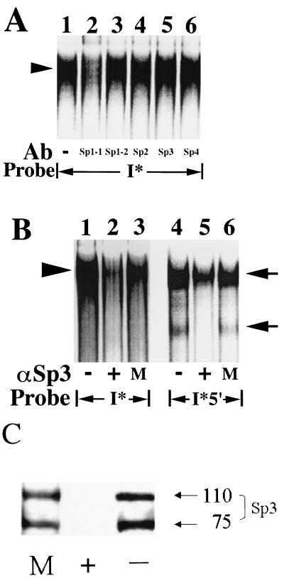 FIG. 7