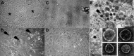 FIG 2