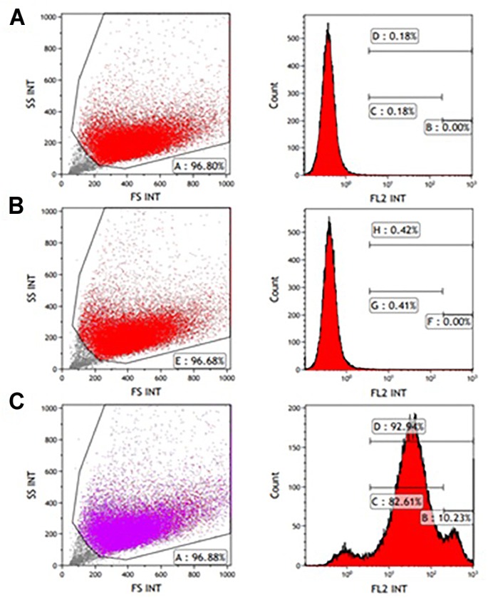 FIGURE 1