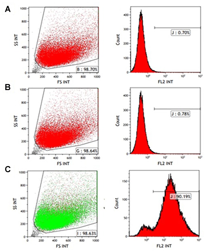 FIGURE 2