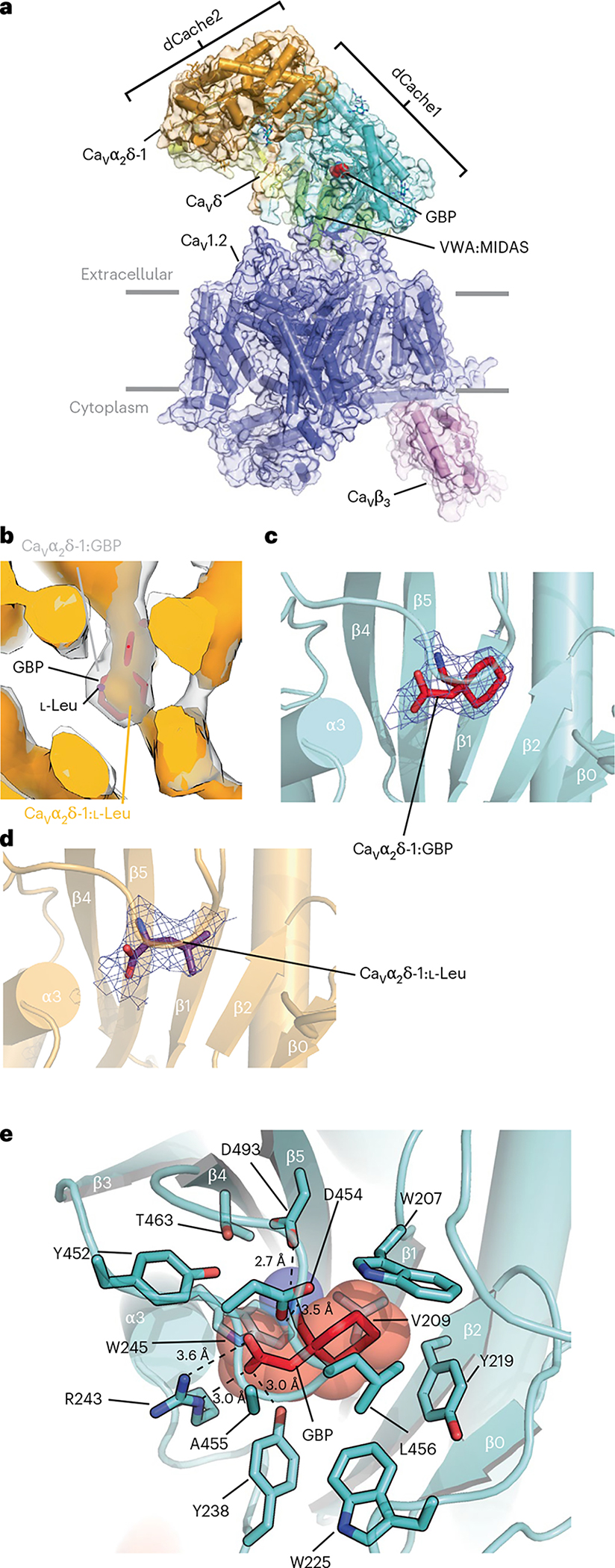 Fig. 1 |