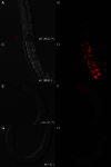 Figure 4—figure supplement 5.