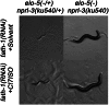 Figure 2—figure supplement 2.