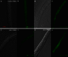 Figure 4—figure supplement 4.