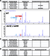 Figure 2—figure supplement 1.