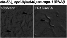 Figure 4—figure supplement 1.