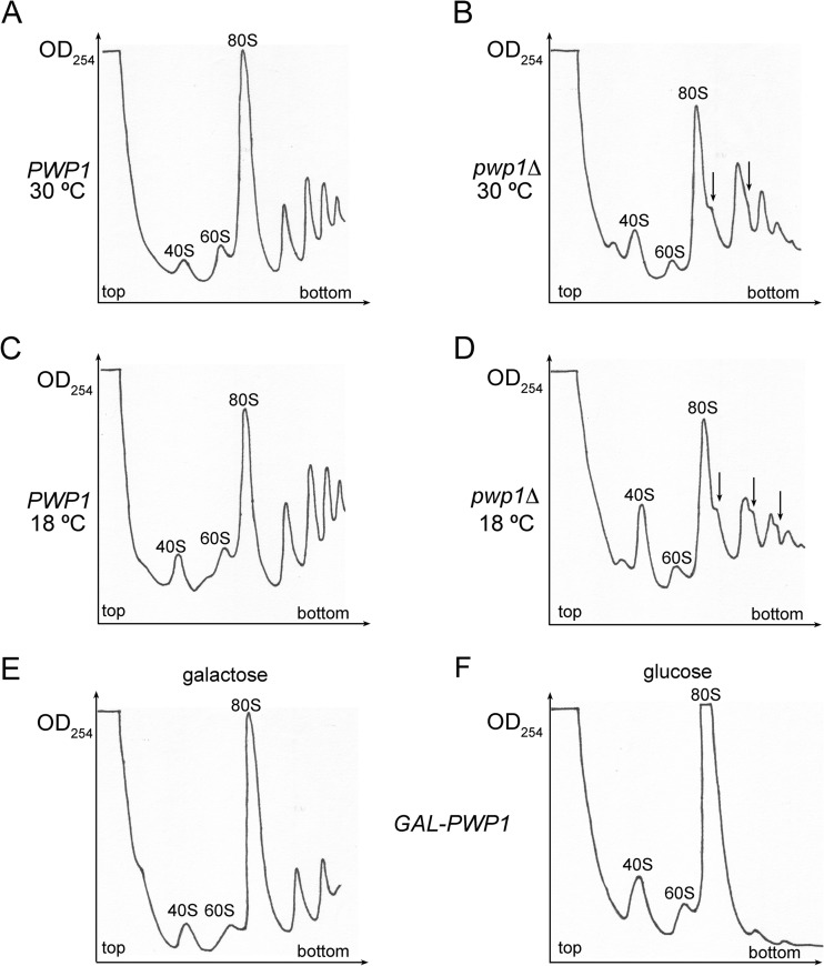 FIG 2