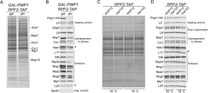 FIG 5