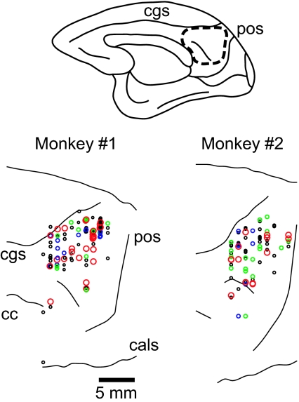 Fig. 2.