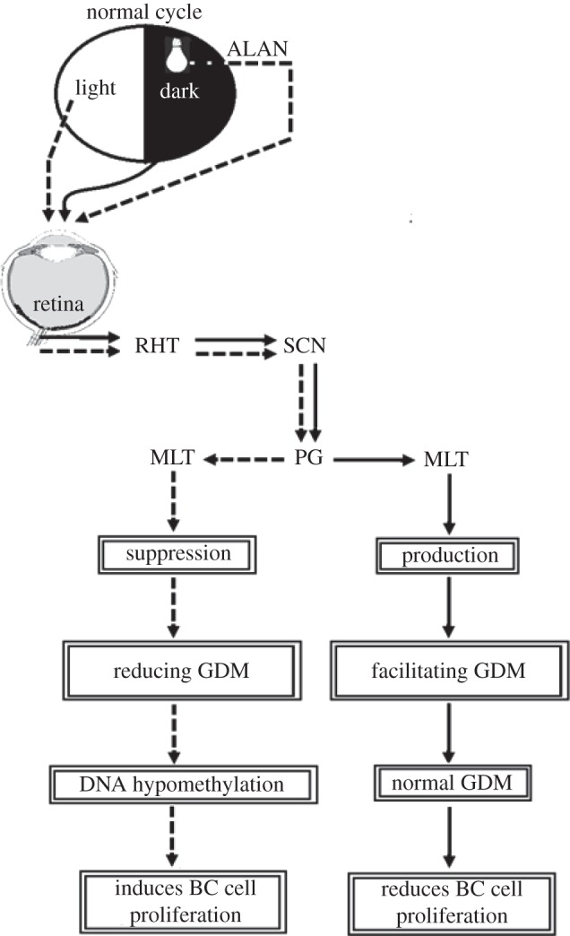 Figure 1.