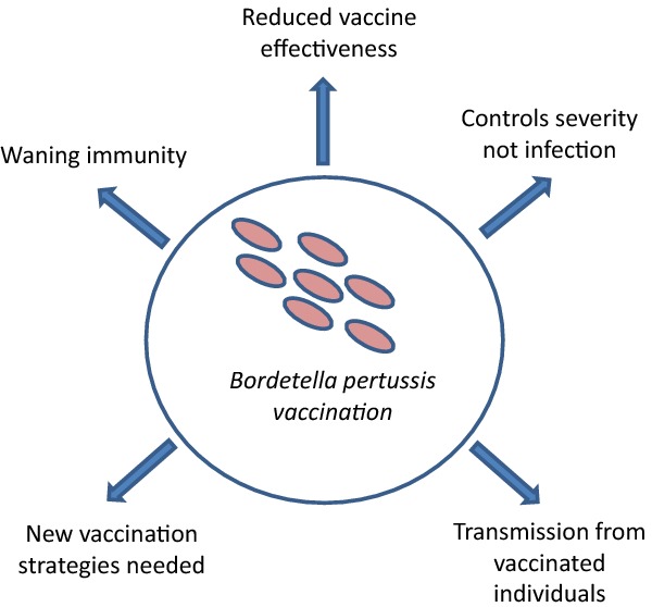 Graphical Abstract Figure.