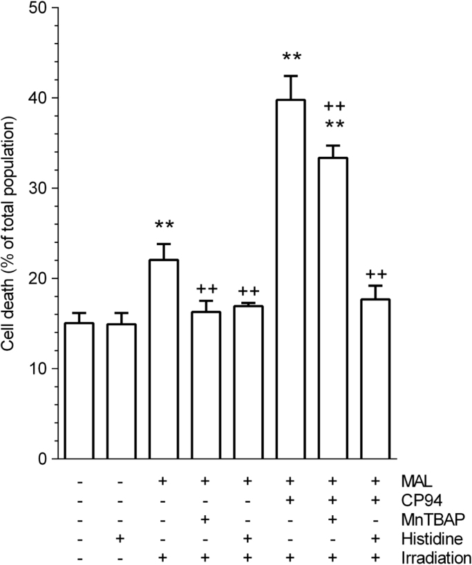 Fig. 3.