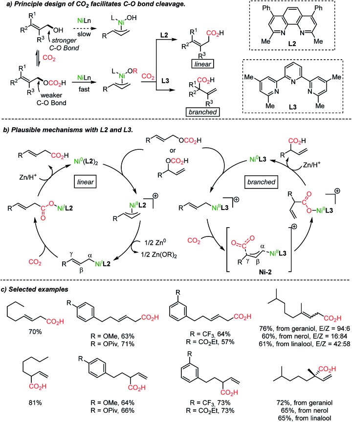 Scheme 5