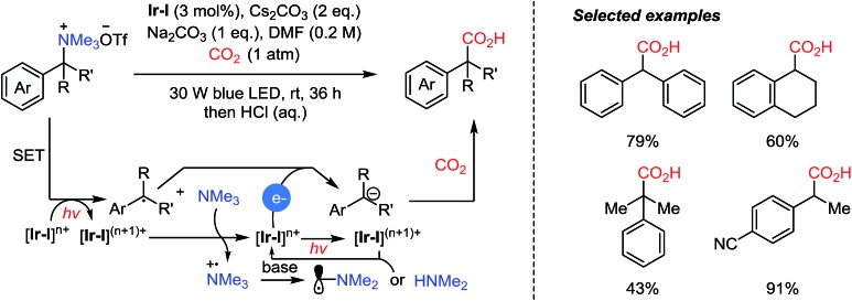 Scheme 16