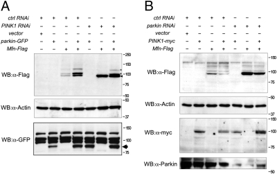 Fig. 4.