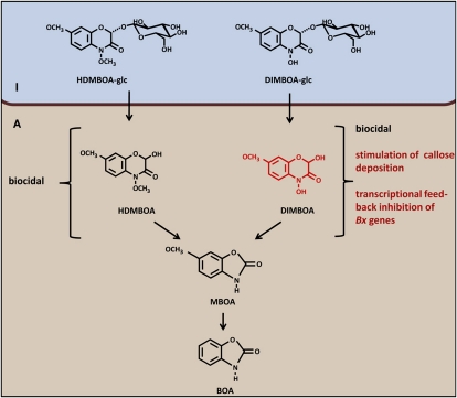 Figure 9.